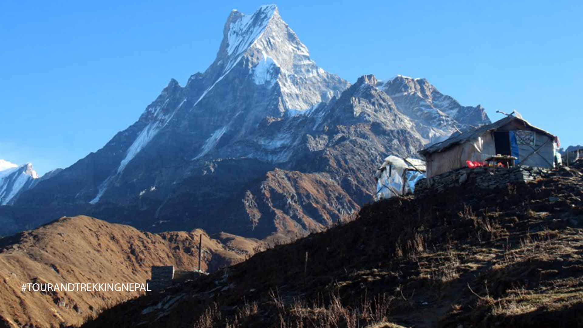 tea house trekking in the himalayas